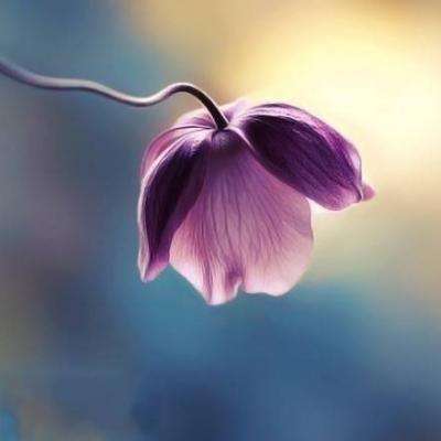 b体育在线登陆素描版